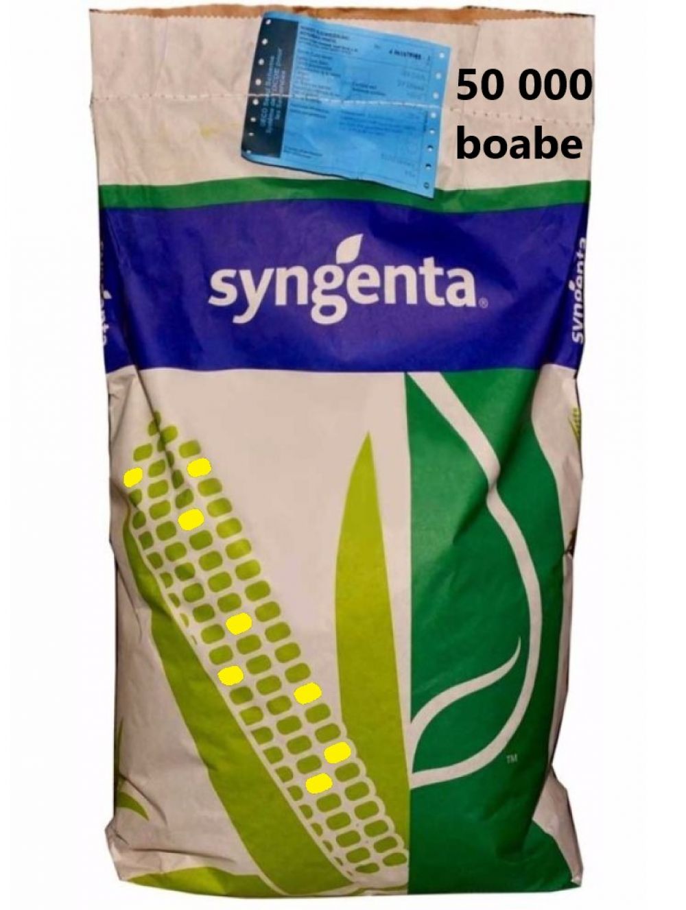 Samanta Porumb SY PANDORAS Syngenta, FAO 250-290