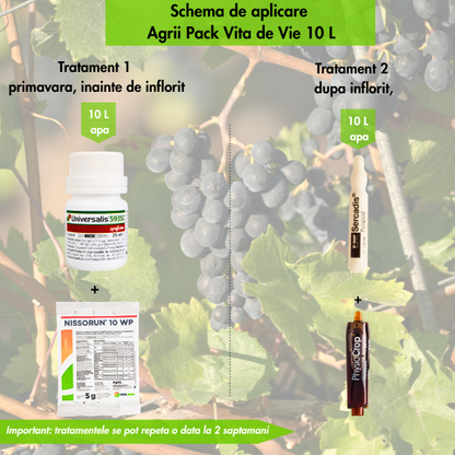 PACHET VITA DE VIE NEW V 2.0 - Tratament Complet 10 L Apă