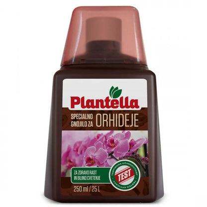 Îngrășământ lichid pentru orhidee – nutriție echilibrată și plante sănătoase