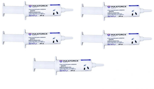 https://fitomag.ro/continut/produse/65525/1000/set-5-x-max-force-ic-gel-20-grame_199868.webp
