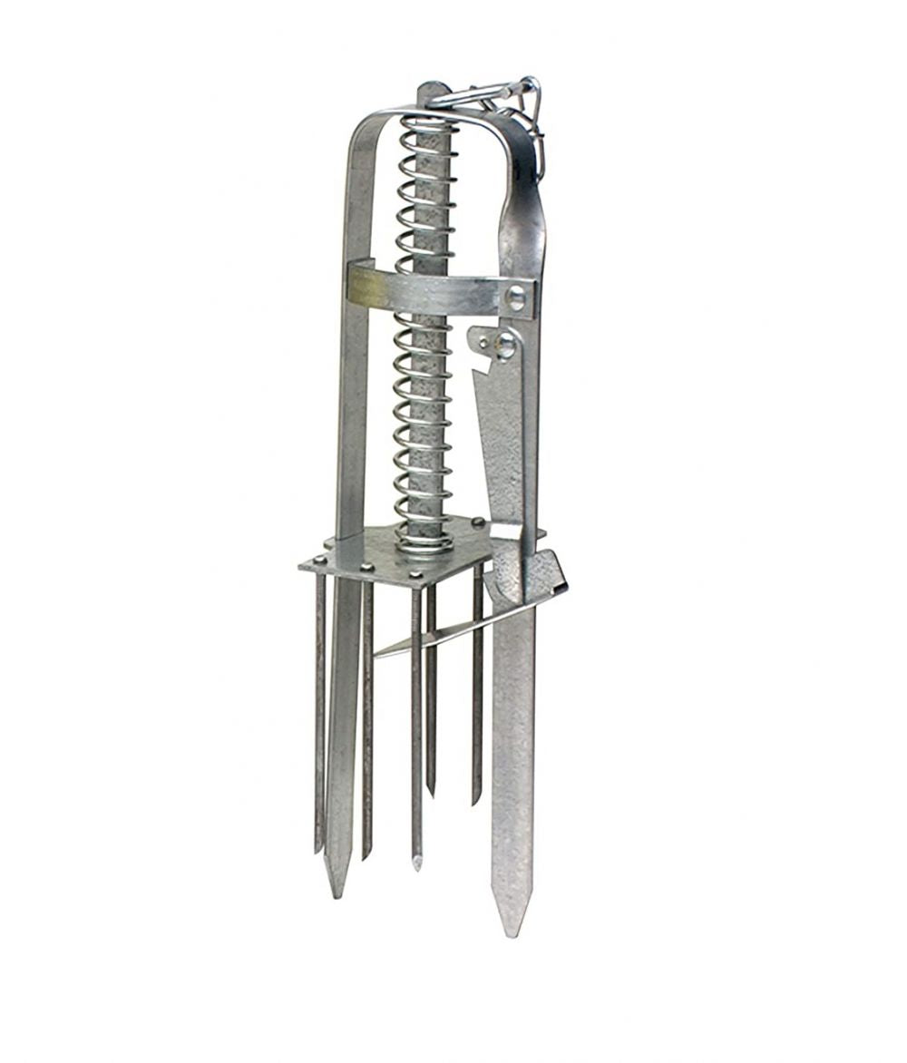 https://fitomag.ro/continut/produse/18068/1000/sita-c300-capcana-cartite-67704.jpg