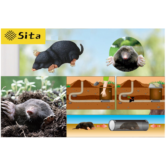 https://fitomag.ro/continut/produse/18058/560/sita-relocator-capcana-cartita-67655.png