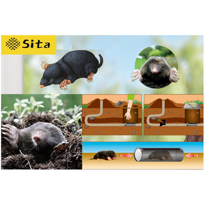 https://fitomag.ro/continut/produse/18058/560/sita-relocator-capcana-cartita-67655.png