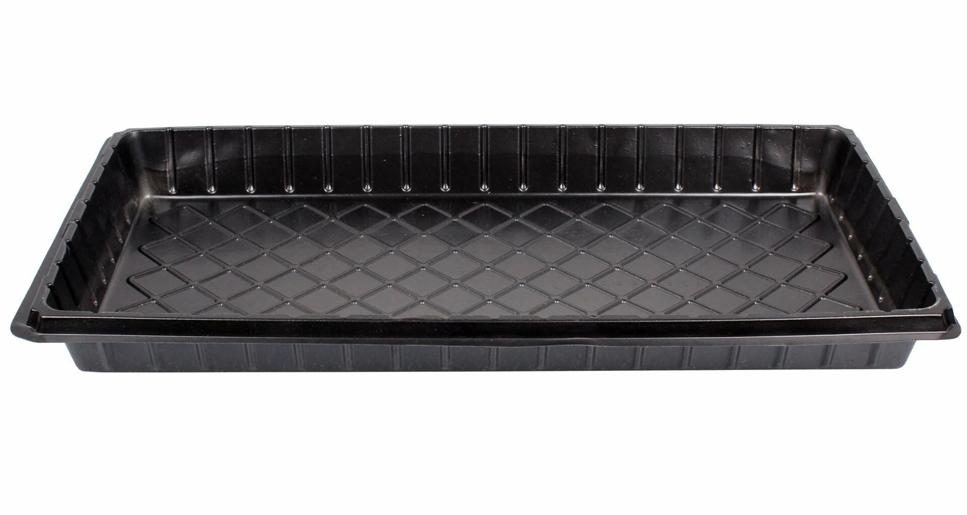 Tava pentru rasaduri, dimensiune 54 x 28 x 5 cm - SolPlant.ro