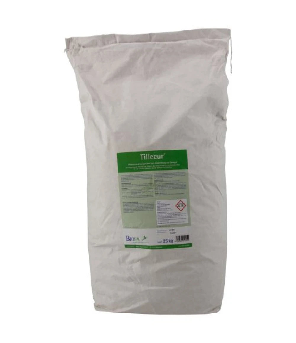 tratament-seminte-tillecur-cereale-paioase-fara-chimicale-natural