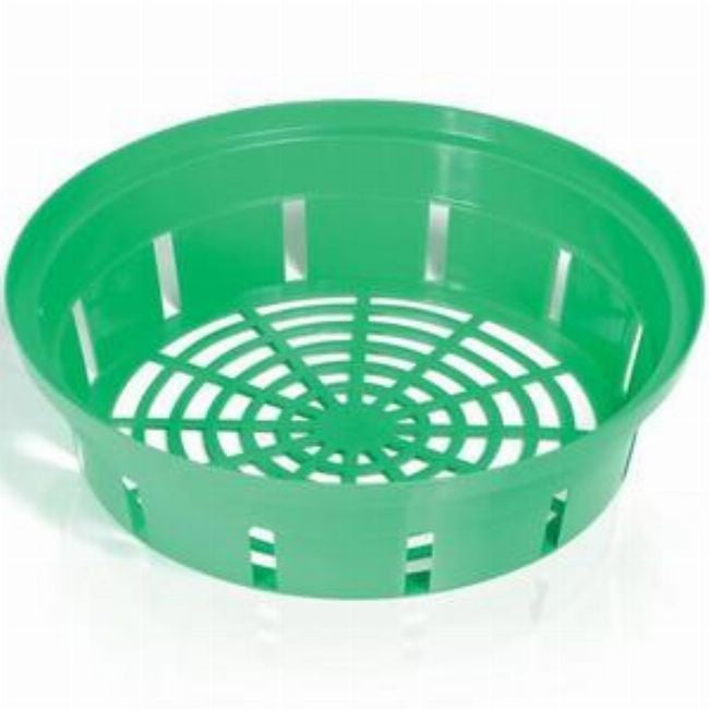 https://cdn.shopify.com/s/files/1/0558/4253/7627/products/ultetokosar.jpg?v=1757069665