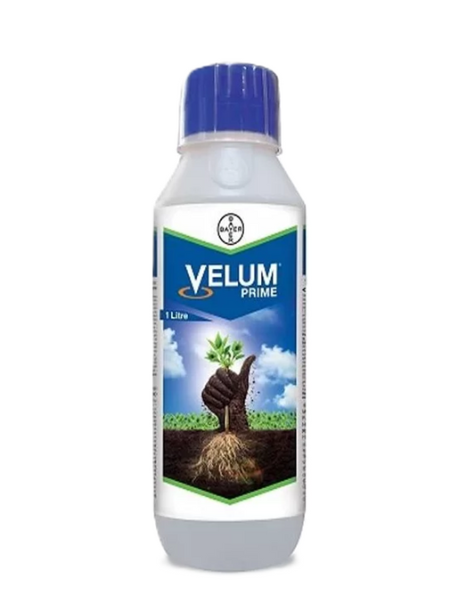 nematocid-fungicid-velum-prime-400-sc-fluopiram